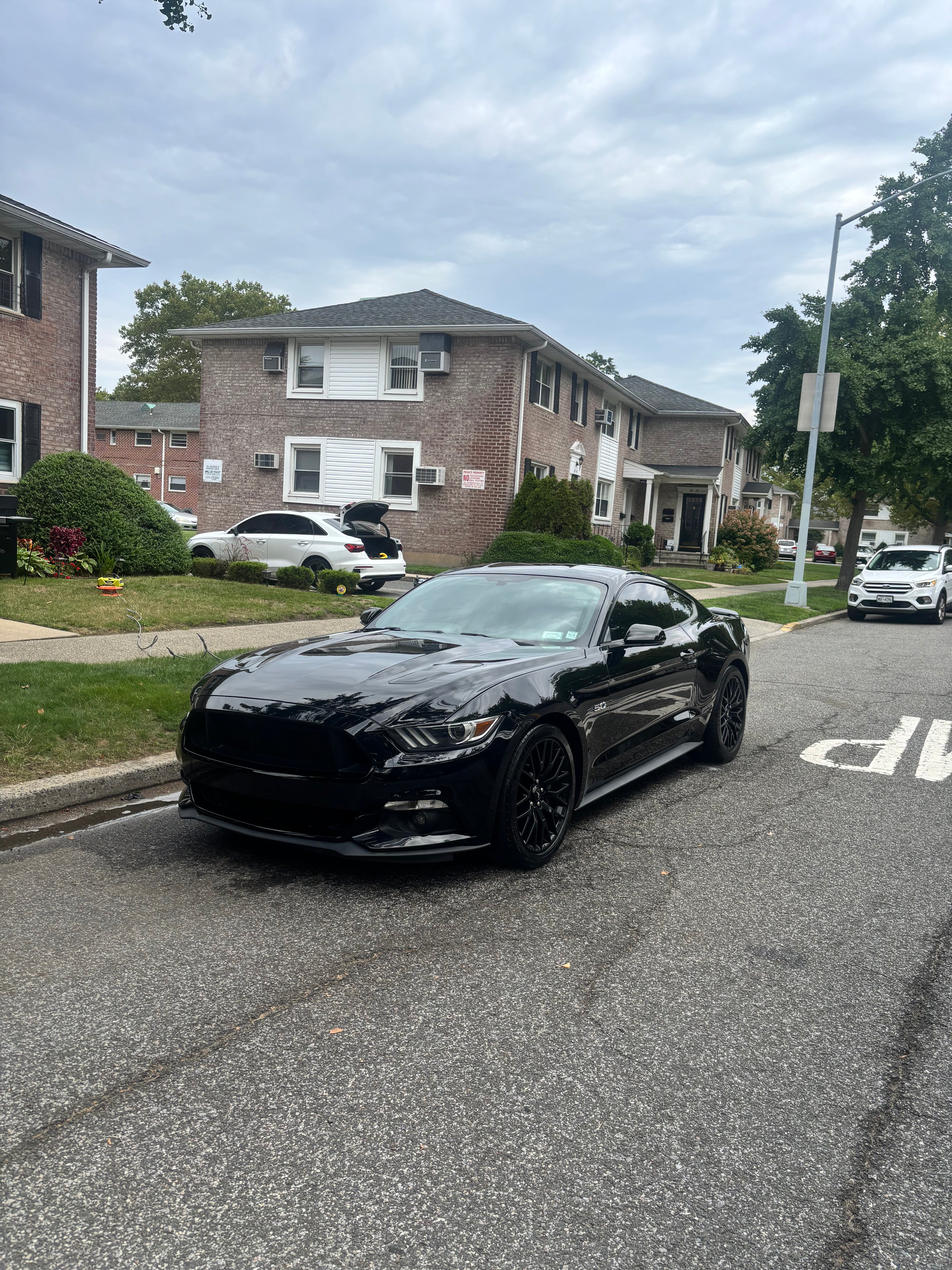 Vehicle detailing